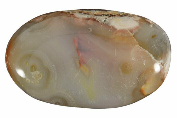 Polished Flower Agate Palm Stone - Madagascar #226856